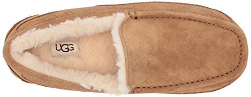 UGG Men's Ascot Slipper Chestnut 8