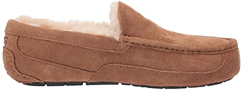 UGG Men's Ascot Slipper Chestnut 8